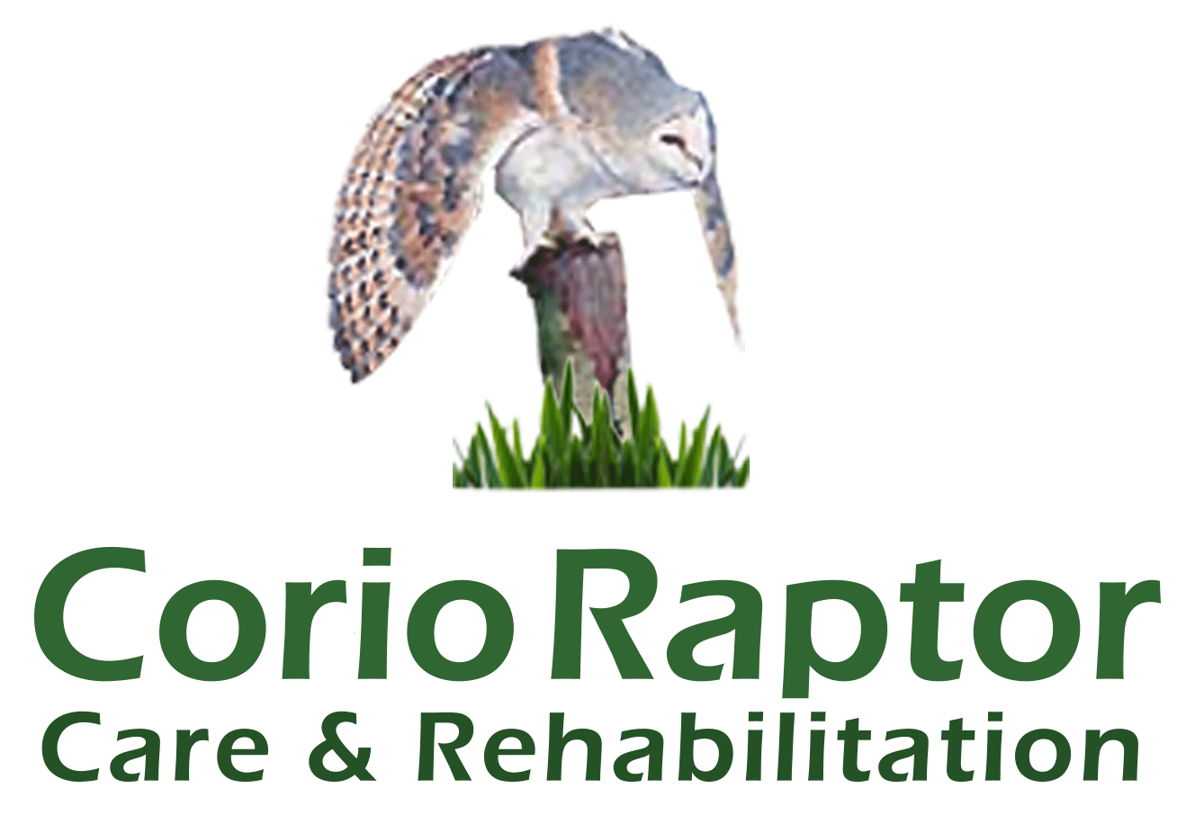 Corio Raptor Care & Rehabilitation